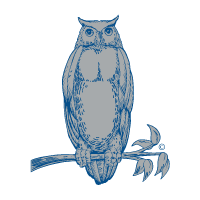 Merk Owl